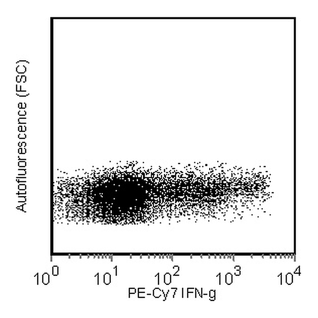BD PE-Cy7 Mouse Anti-Human IFN-γ