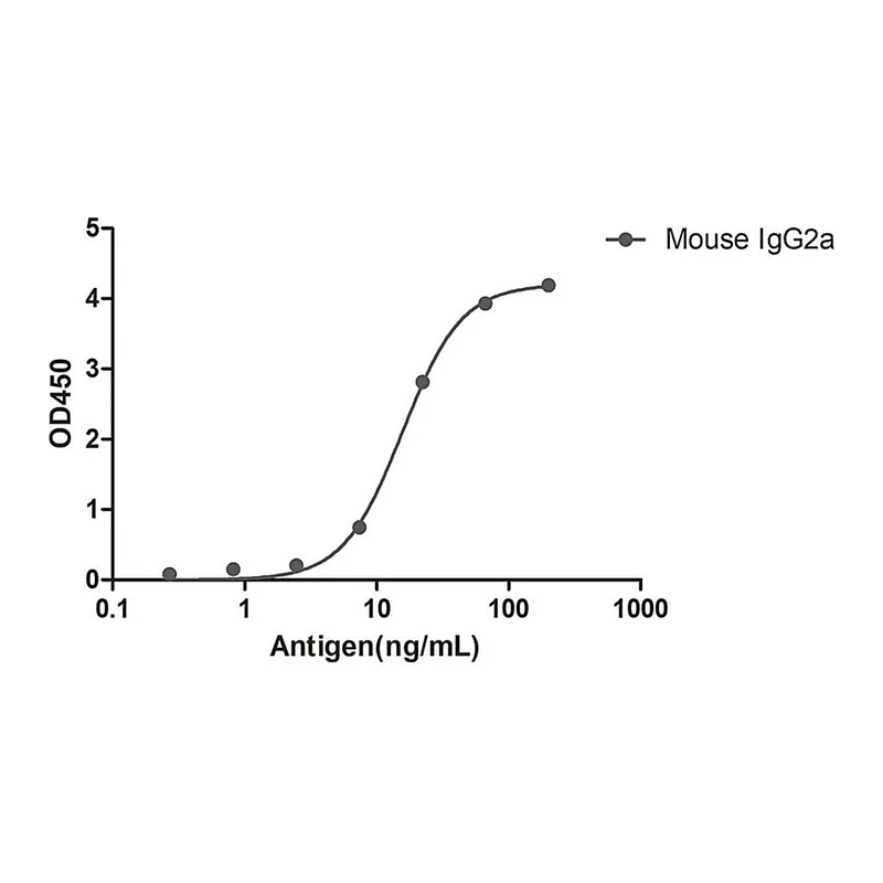 Merck Alpaca Anti-Mouse IgG2a(Fcgamma) HRP single domain Antibody