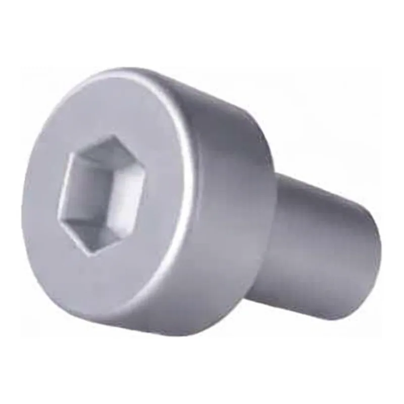 Waters Screw, M3 x 6, Cap Hd, SS