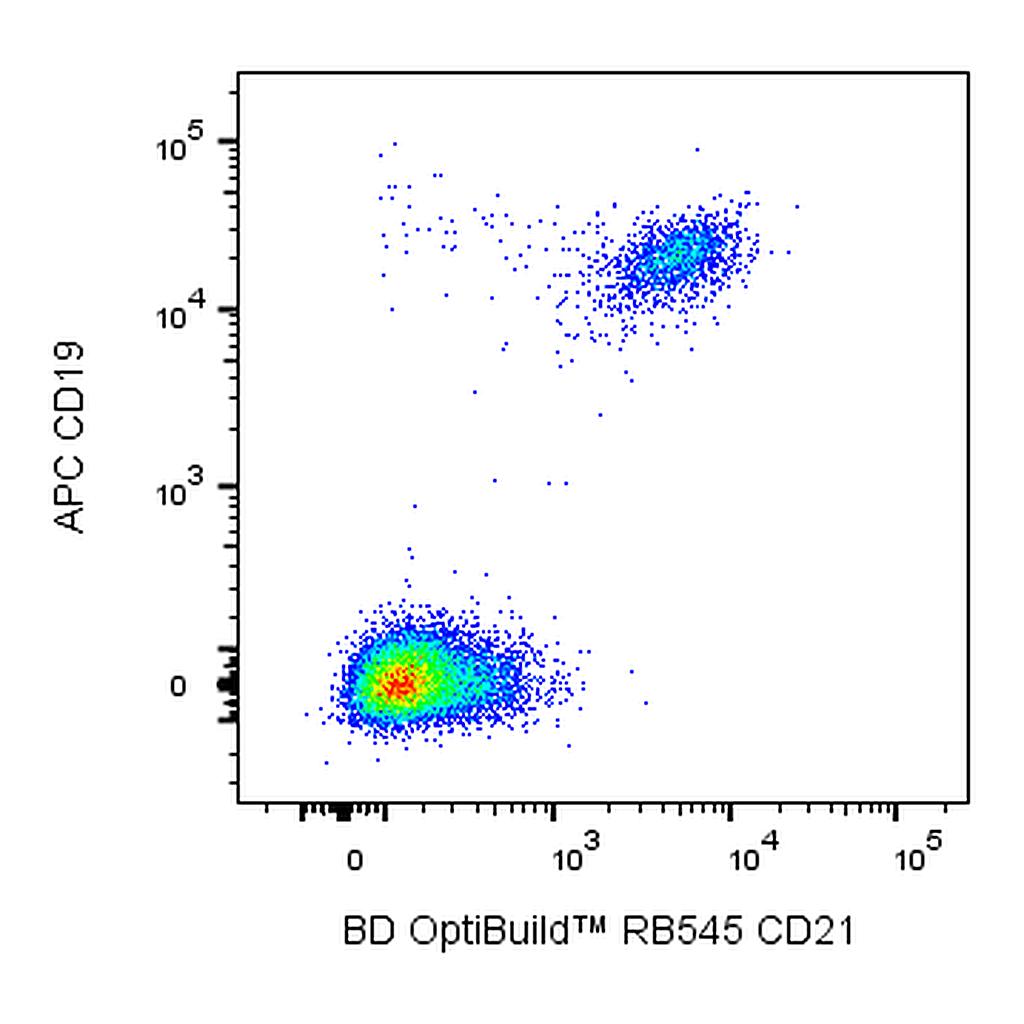 BD RB545 Mouse Anti-Human CD21