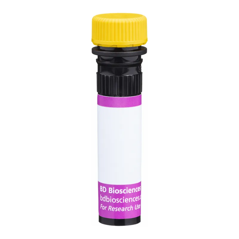 BD BV650 Biosimilar Anti-Human CD20 Rituximab297