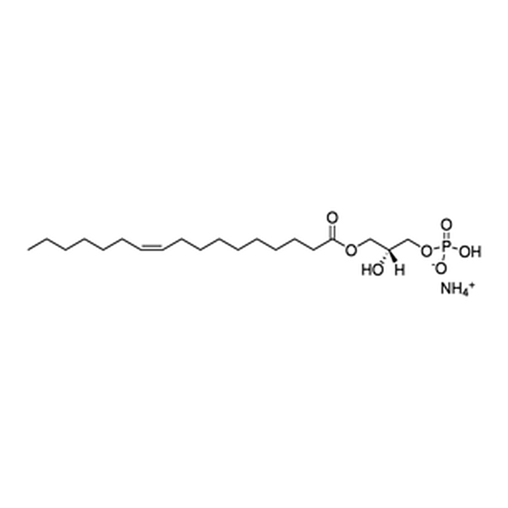 Merck 17:1 LPA