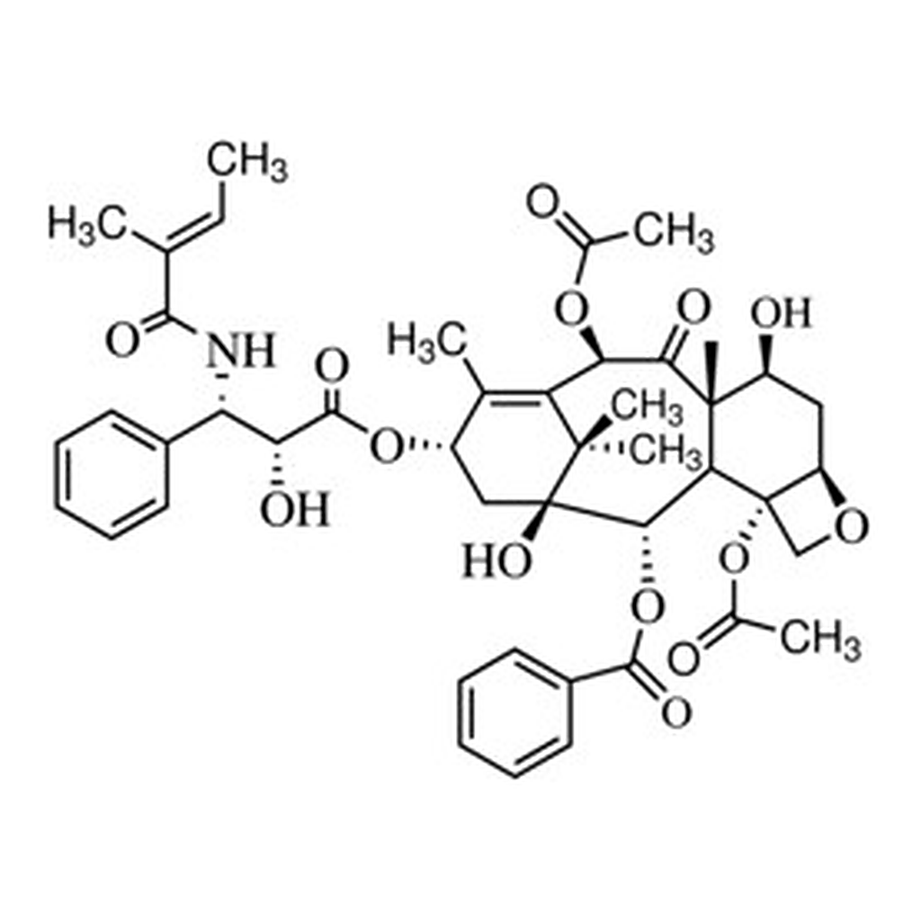 Merck PACLITAXEL RELATED COMPOUND A, UNITED ST