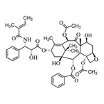 Merck PACLITAXEL RELATED COMPOUND A, UNITED ST