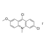 Merck 6,9-DICHLORO-2-METHOXY-N-METHYLA-