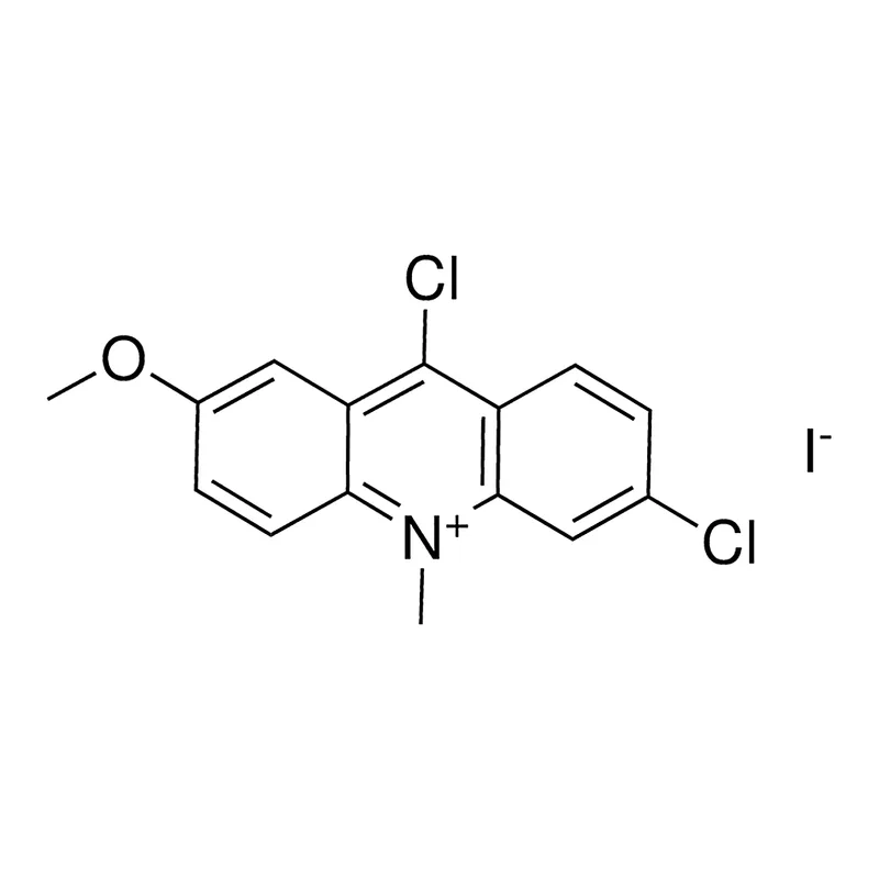 Merck 6,9-DICHLORO-2-METHOXY-N-METHYLA-