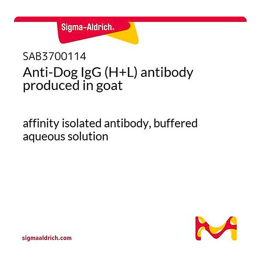 Merck Anti-Dog IgG (H+L) antibody produced in goat