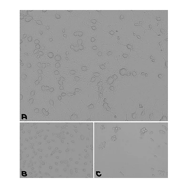Merck Laminin/Poly-D-lysine Coating Solution