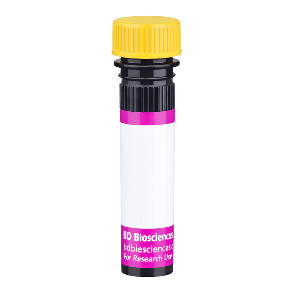 BD BV650 Rat Anti-Mouse Vα 8.3 T-Cell Receptor
