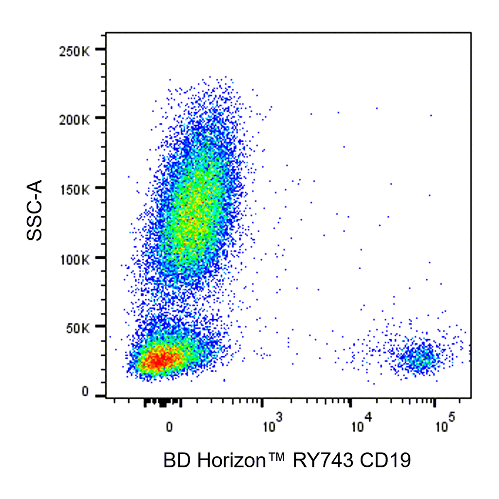 BD RY743 Mouse Anti-Human CD19