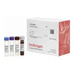 Thermo Fisher Scientific Human TFF3 (Trefoil Factor 3) ProcartaPlex Simplex Kit
