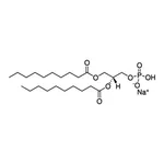 Merck 10:0 PA