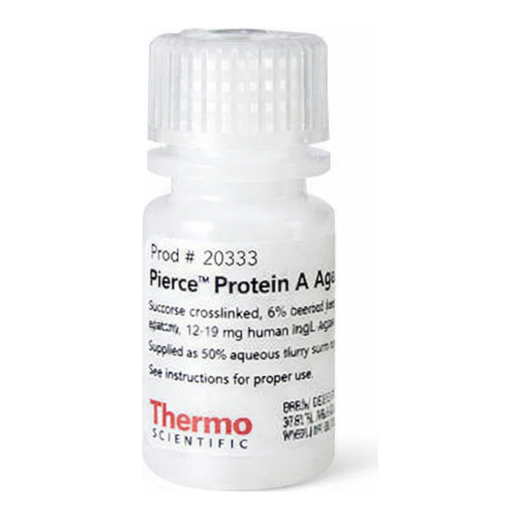 Thermo Fisher Scientific Pierce Protein A Agarose, 5 mL
