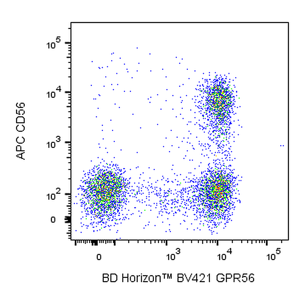 BD BV421 Mouse Anti-Human GPR56