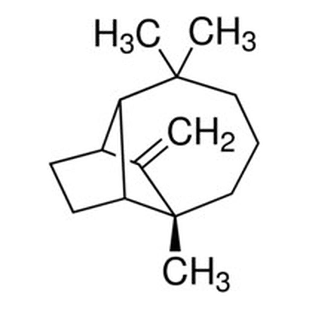 Merck (+)-LONGIFOLENE