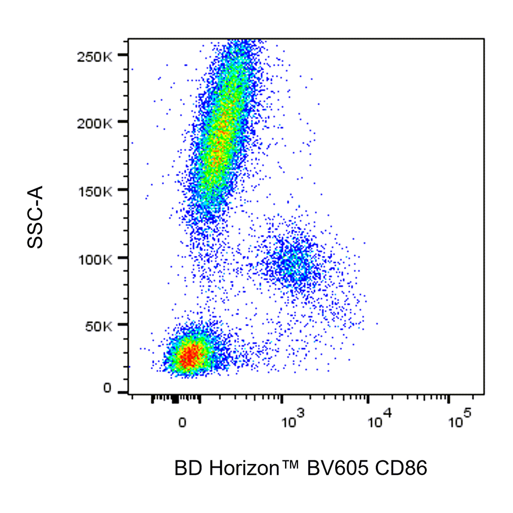 BD BV605 Mouse Anti-Human CD86