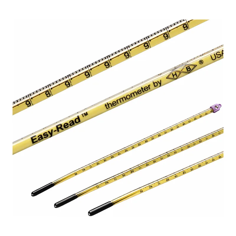 Merck Easy-Read(R) thermometer