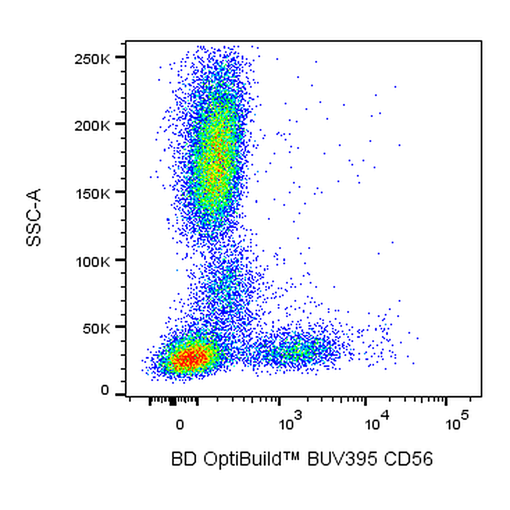 BD BUV395 Mouse Anti-Human CD56 (NCAM-1)