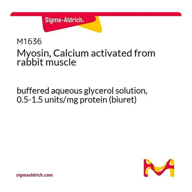 Merck Myosin, Calcium activated from rabbit muscle