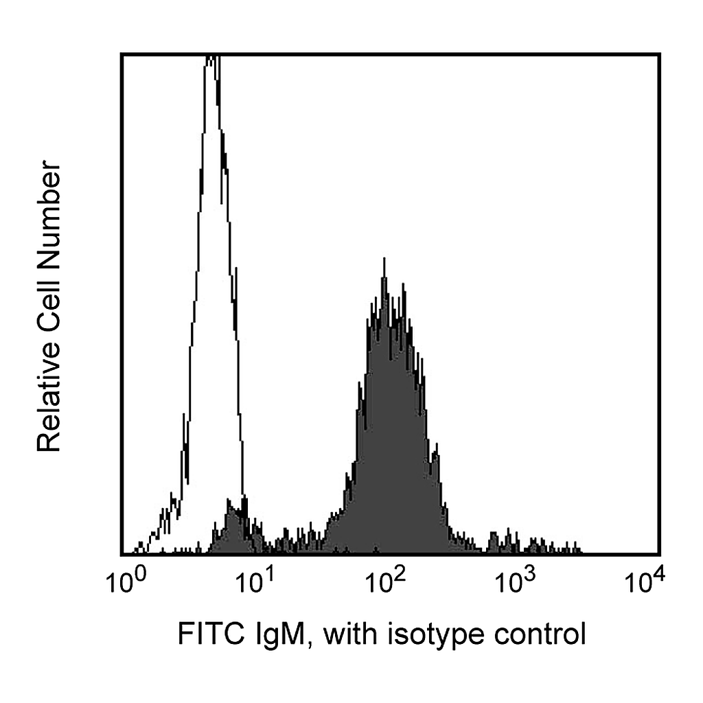 BD FITC Mouse Anti-Rat IgM