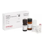 Thermo Fisher Scientific CyQUANT LDH Cytotoxicity Assay, fluorescence, 200 Assays
