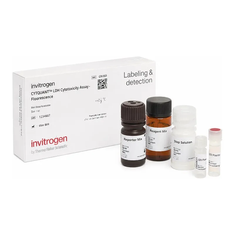 Thermo Fisher Scientific CyQUANT LDH Cytotoxicity Assay, fluorescence, 200 Assays