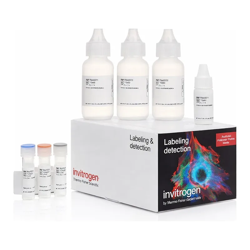 Thermo Fisher Scientific Biotin XX Tyramide SuperBoost Kit, goat anti-rabbit IgG