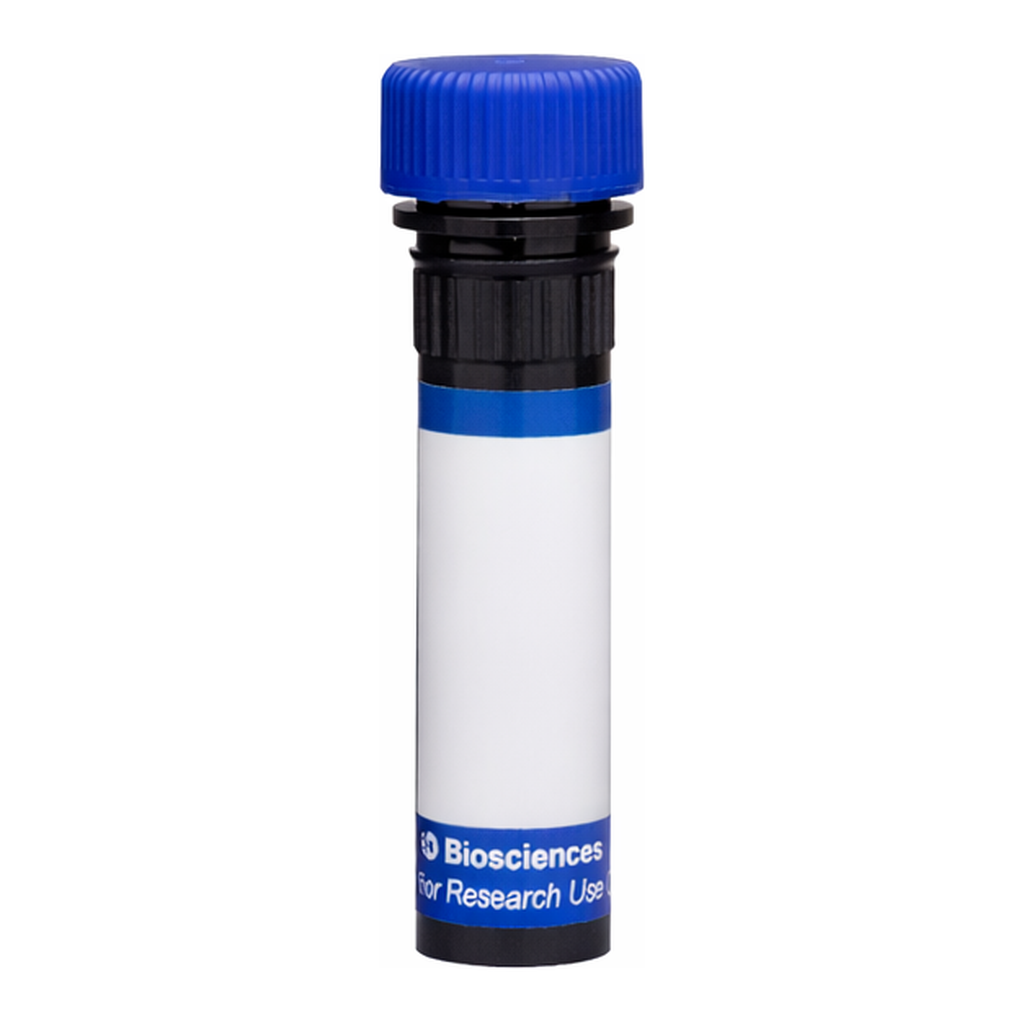 BD RB780 Rat Anti-Mouse Vβ4 T-Cell Receptor