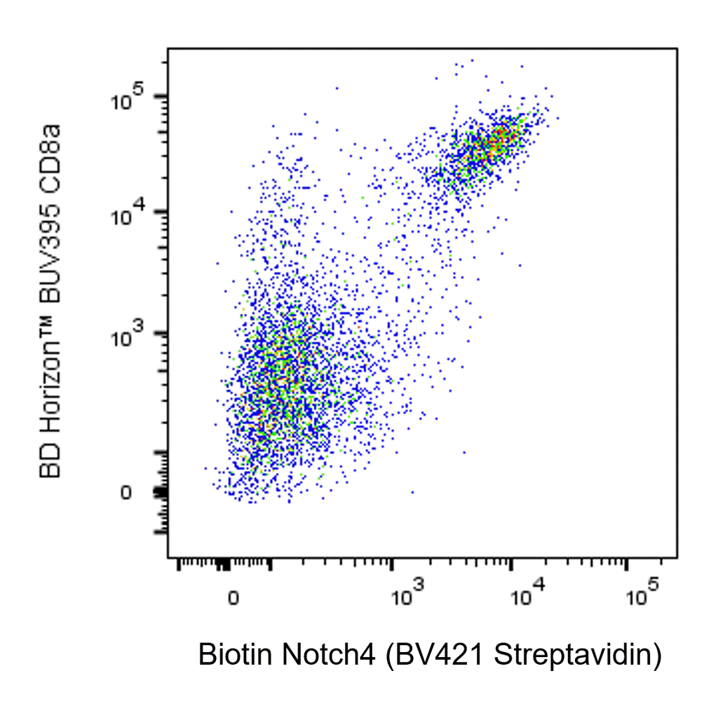 BD Biotin Hamster Anti-Mouse Notch4