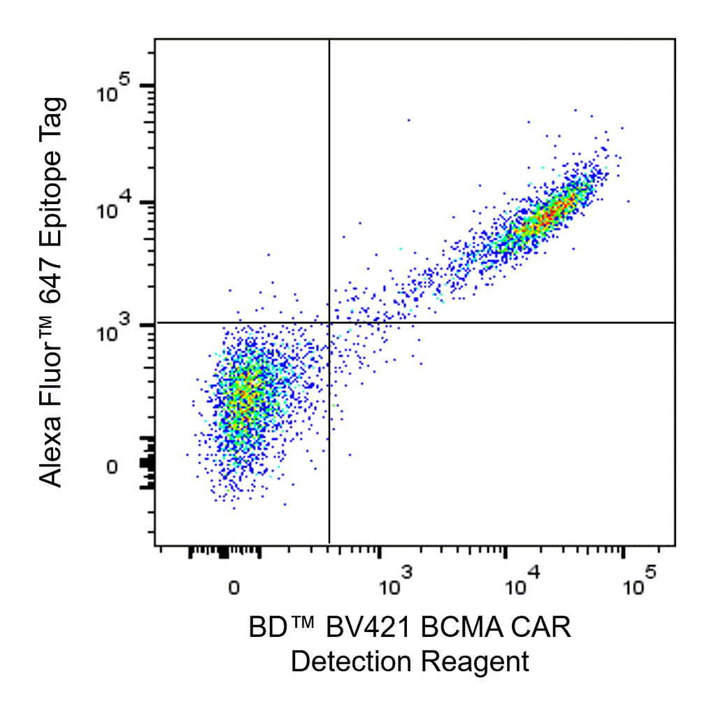 BD BV421 BCMA CAR Detection Reagent