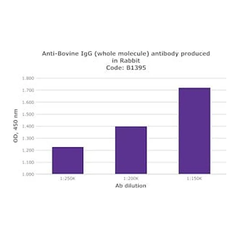 Merck ANTI-BOVINE IGG (WHOLE MOLECULE) &