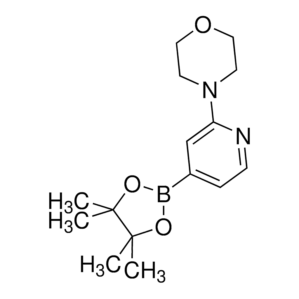 Merck 2-Morpholinopyridine-4-boronic acid, pinacol ester