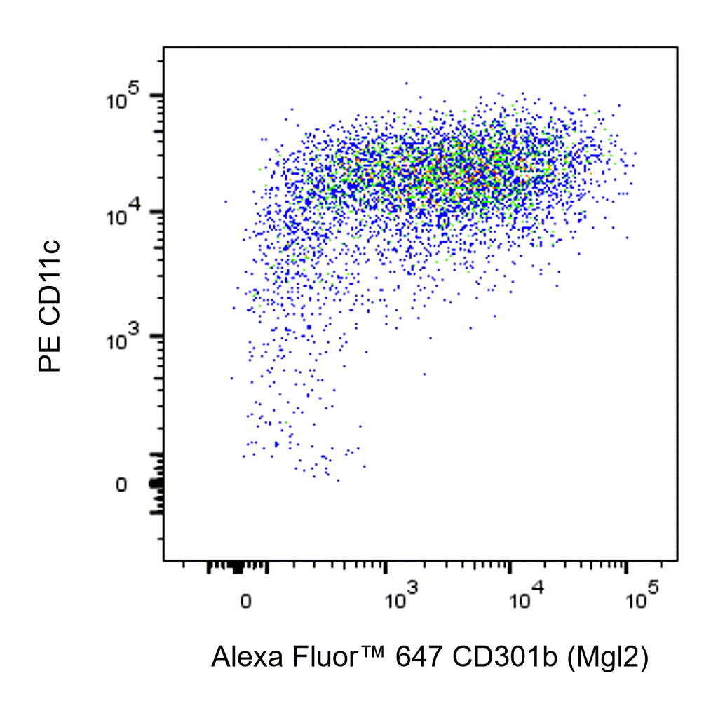 BD Alexa Fluor 647 Rat Anti-Mouse CD301b (Mgl2)