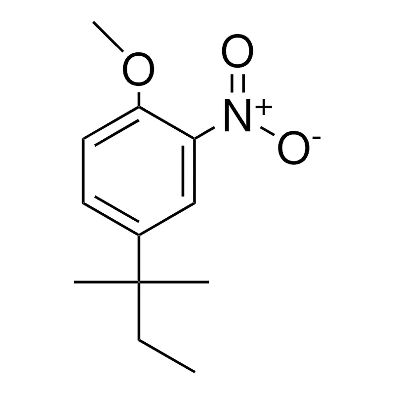 Merck 4-(1,1-DIMETHYL-PROPYL)-1-METH - 25 MG&