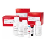 Merck OXALATE DECARBOXYLASE ACTIVITY ASSAY KIT