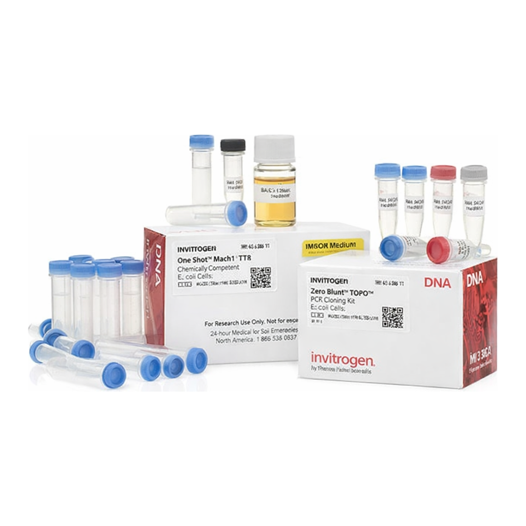 Thermo Fisher Scientific Zero Blunt TOPO PCR Cloning Kit for Subcloning