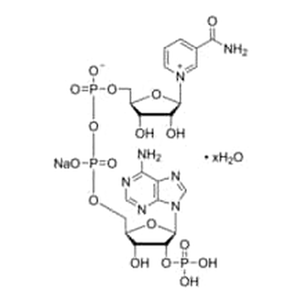 Merck B-NICOTINAMIDE ADENINE DINUCLEOTIDE PHO&