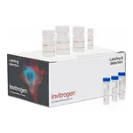 Thermo Fisher Scientific Click-iT EdU Cell Proliferation Kit for Imaging, Alexa Fluor 555 dye