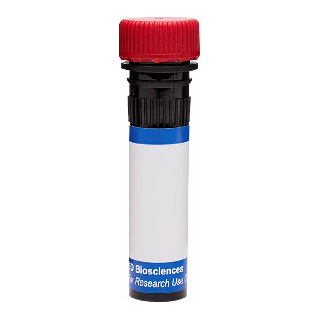 BD RB670 Rat Anti-Mouse Folate Receptor β (FRβ)