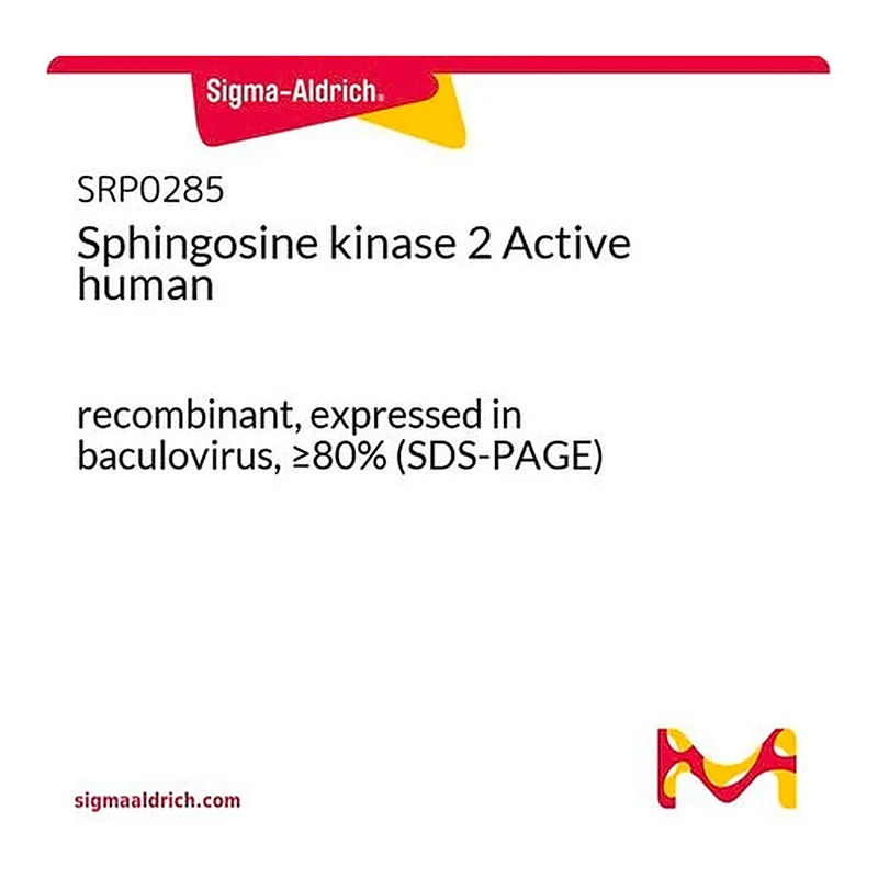Merck Sphingosine kinase 2 Active human