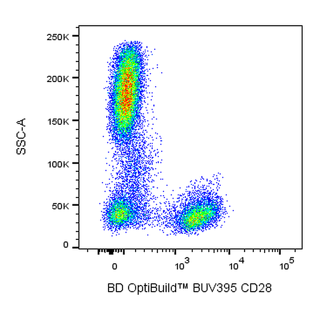 BD BUV395 Mouse Anti-Human CD28