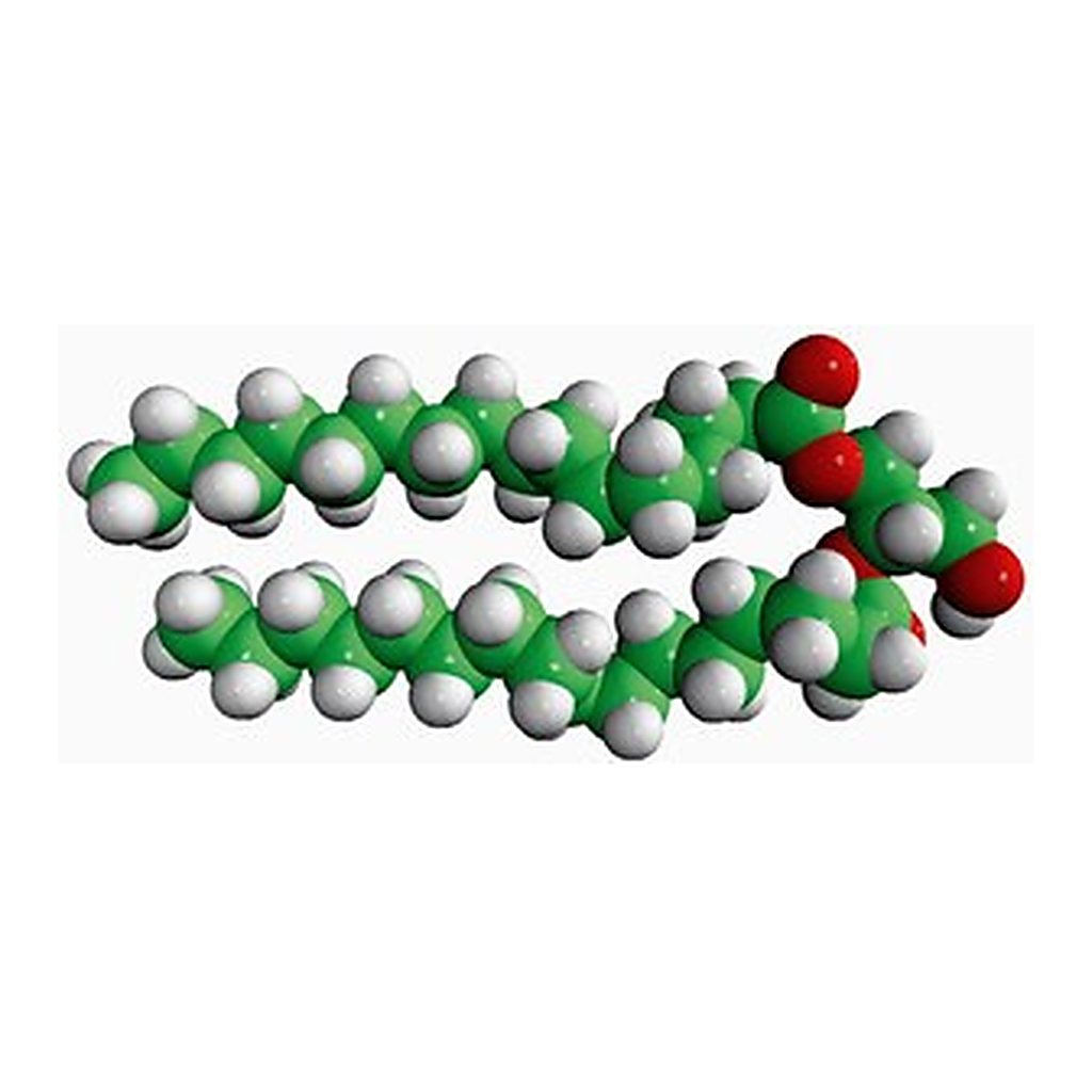 Merck 16:0 DG