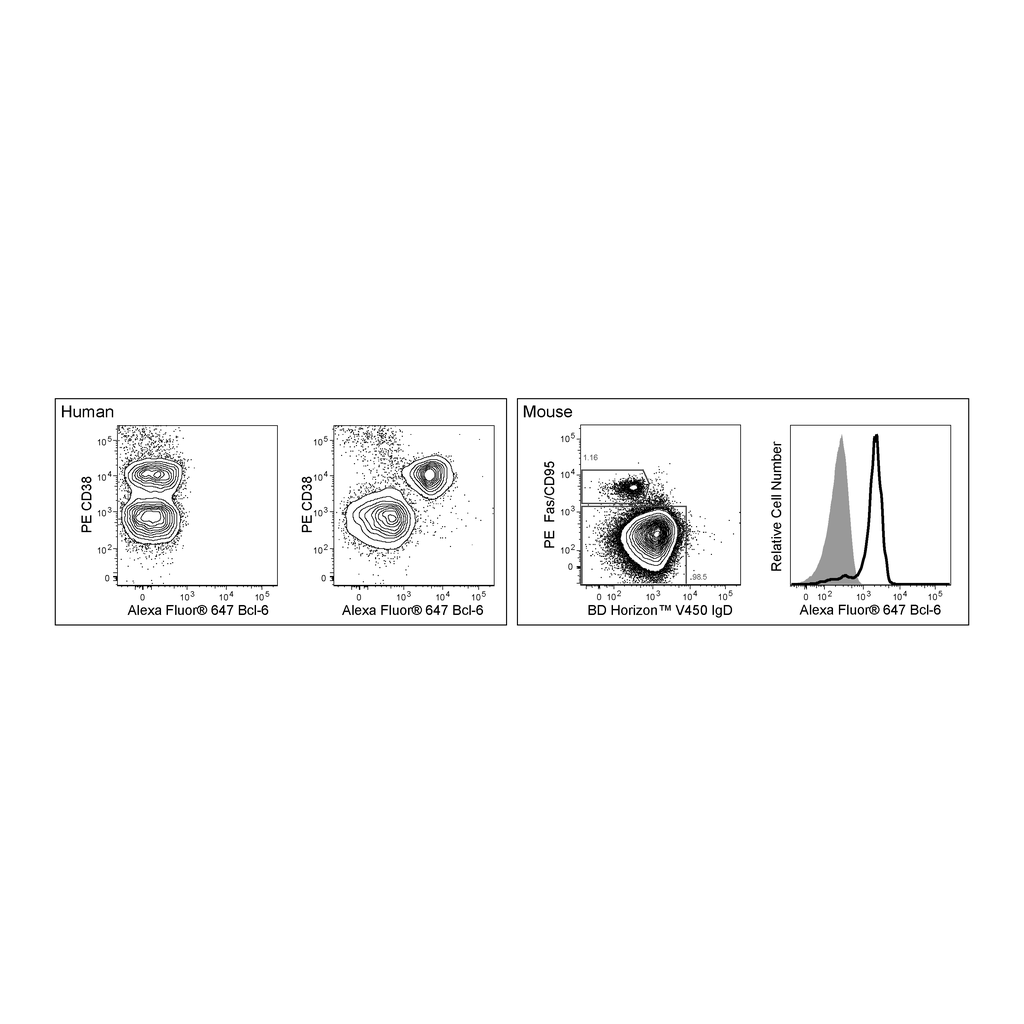 BD Alexa Fluor® 647 Mouse anti-Bcl-6