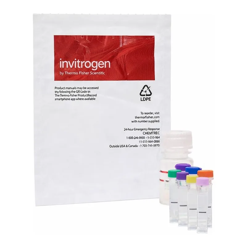 Thermo Fisher Scientific Amplex Red Neuraminidase (Sialidase) Assay Kit