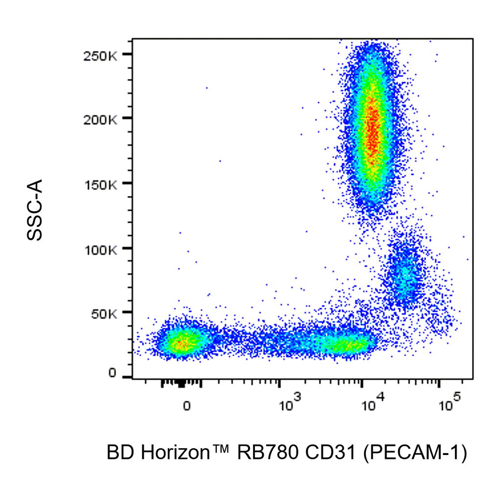 BD RB780 Mouse Anti-Human CD31 (PECAM-1)