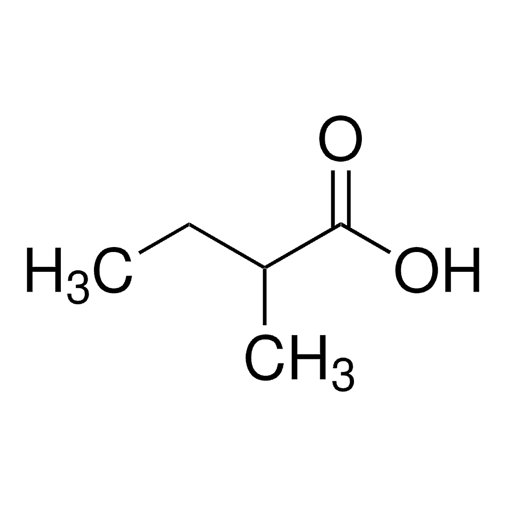 Merck 2-Methylbutyric acid
