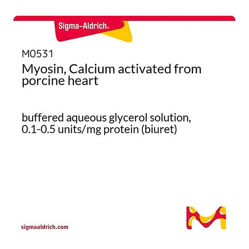 Merck Myosin, Calcium activated from porcine heart