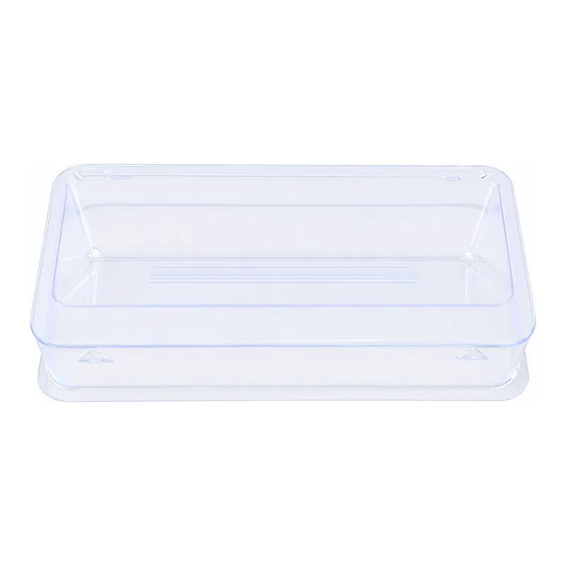 Thermo Fisher Scientific Disposable Pipette Basins