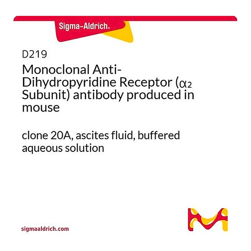 Merck Monoclonal Anti-Dihydropyridine Receptor (alpha2 Subunit) antibody produced in mouse