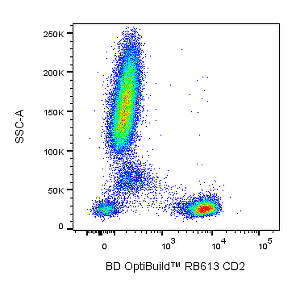 BD RB613 Mouse Anti-Human CD2